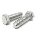 #10-32 X 1 Inch 316 Stainless Steel Socket Cap Screws – Pack Of 100, Allen Head, Corrosion Resistant